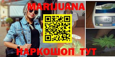 гидра Новозыбков