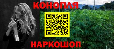 гидра Новозыбков