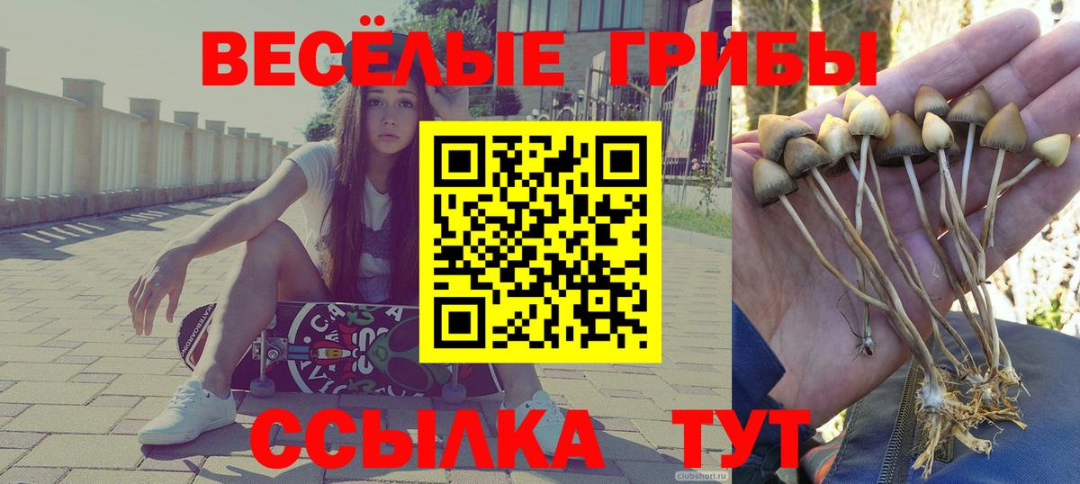 Псилоцибиновые грибы ЛСД Туапсе