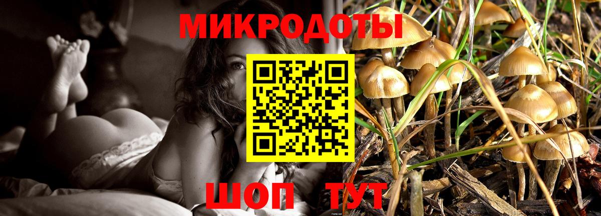 Псилоцибиновые грибы Psilocybe  Вход с VPN  Туапсе 